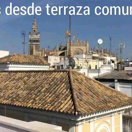 Cder Center Cathedral And Alcazar * Sevilla